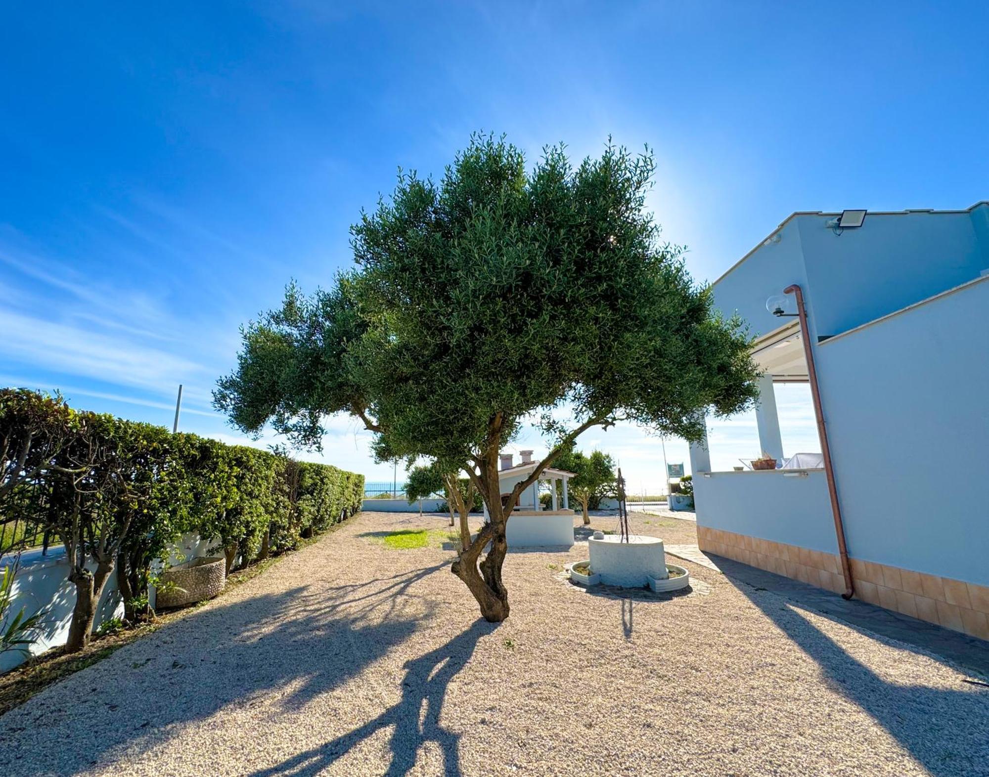 Edo House Anzio - Beachfront - Fronte Mare - Affittacamere エクステリア 写真